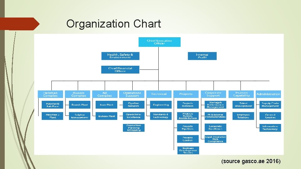 Organization Chart (source gasco. ae 2016) 