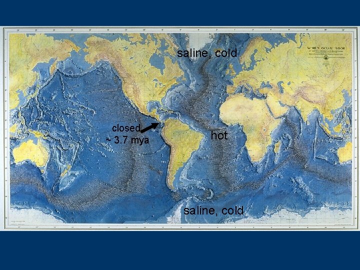 saline, cold closed ~ 3. 7 mya hot saline, cold 