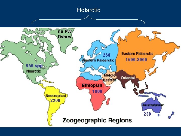 Holarctic no FW fishes 250 1500 -3000 950 spp Ethiopian 1800 2200 230 