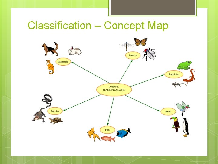 Classification – Concept Map 