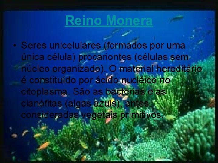 Reino Monera • Seres unicelulares (formados por uma única célula) procariontes (células sem núcleo