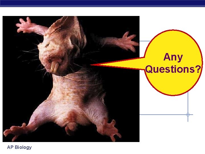 Any Questions? AP Biology 