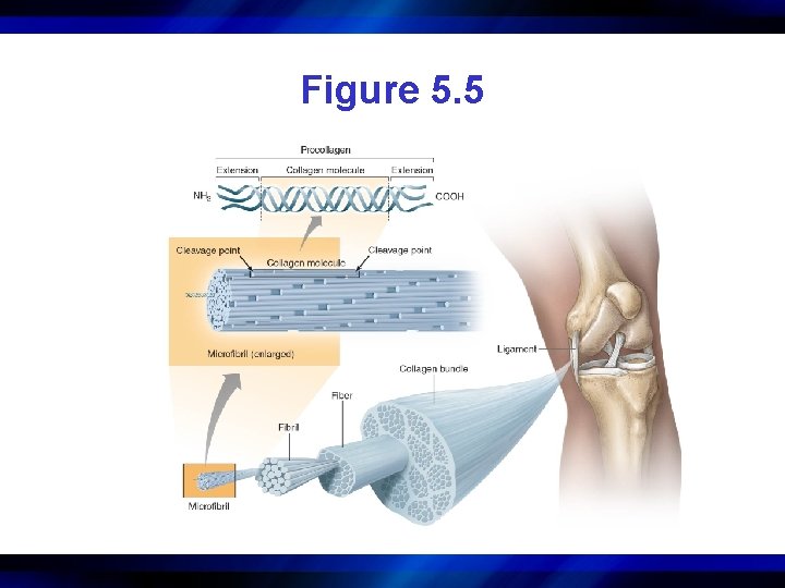 Figure 5. 5 