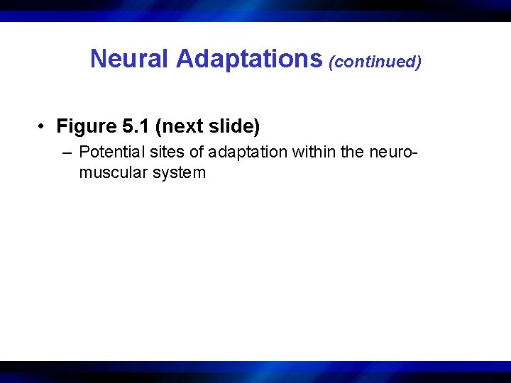 Neural Adaptations (continued) • Figure 5. 1 (next slide) – Potential sites of adaptation