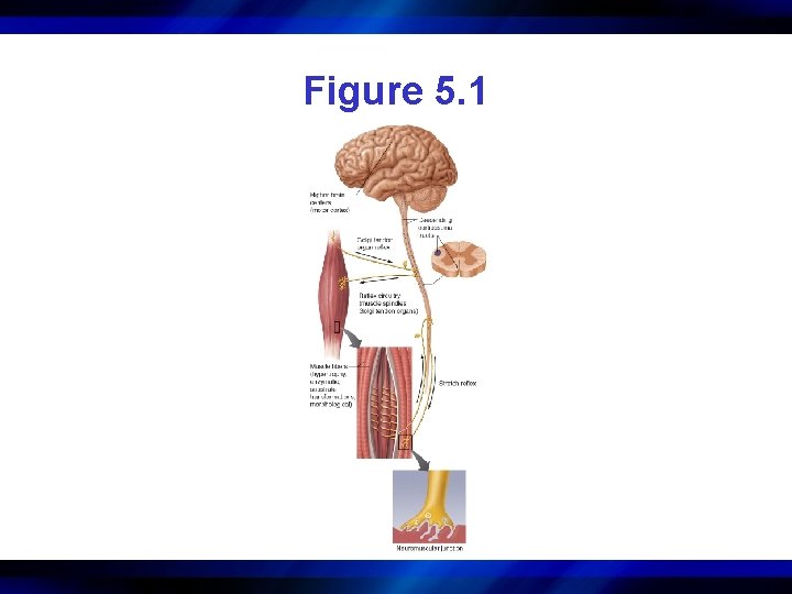 Figure 5. 1 