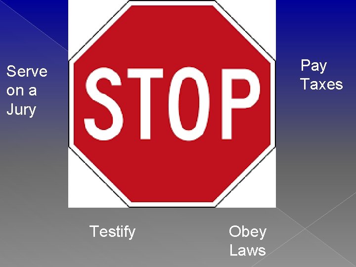 Pay Taxes Serve on a Jury Testify Obey Laws 