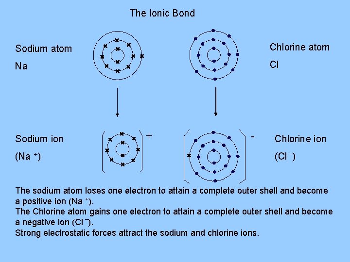 The Ionic Bond Sodium atom Chlorine atom Na Cl Sodium ion (Na +) +