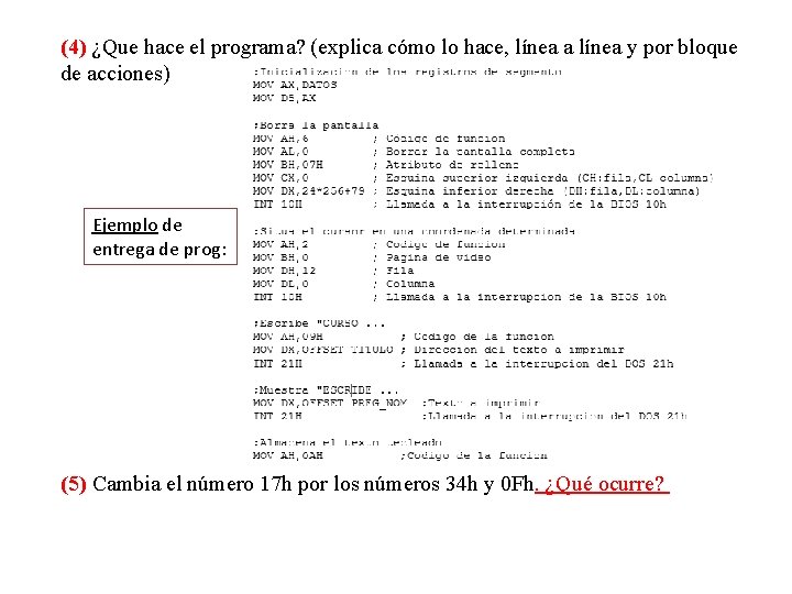 (4) ¿Que hace el programa? (explica cómo lo hace, línea a línea y por