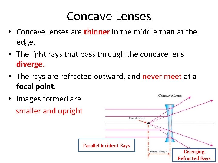 Concave Lenses • Concave lenses are thinner in the middle than at the edge.