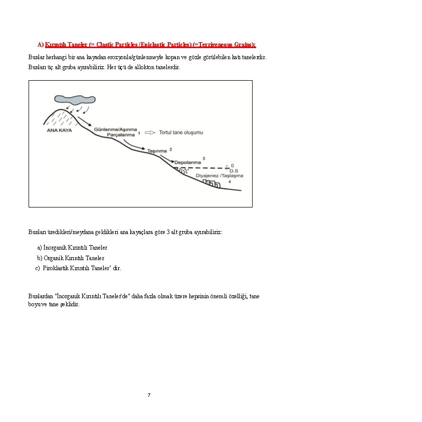 A) Kırıntılı Taneler (= Clastic Particles /Epiclastic Particles) (=Terrigeneous Grains): Bunlar herhangi bir ana