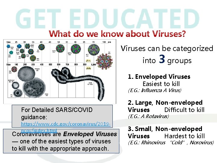 What do we know about Viruses? Viruses can be categorized into 3 groups 1.