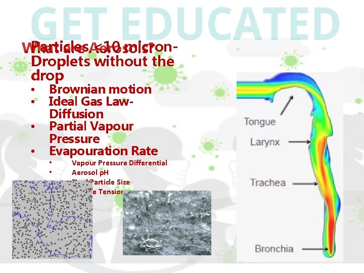 Particles <10 micron. What are Aerosols? Droplets without the drop • • Brownian motion