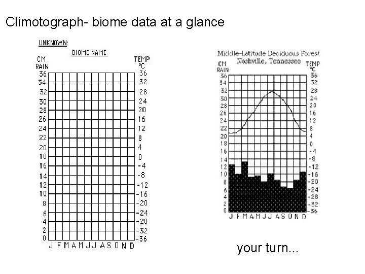 Climotograph- biome data at a glance your turn. . . 