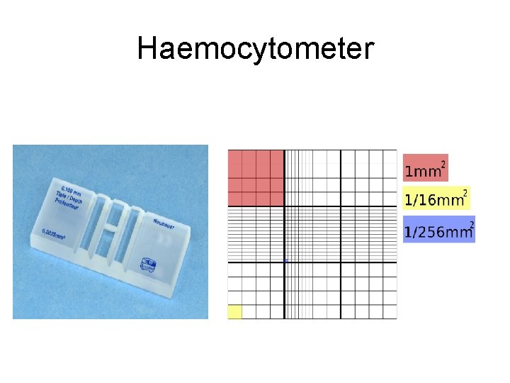 Haemocytometer 