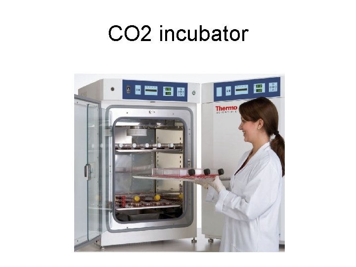 CO 2 incubator 
