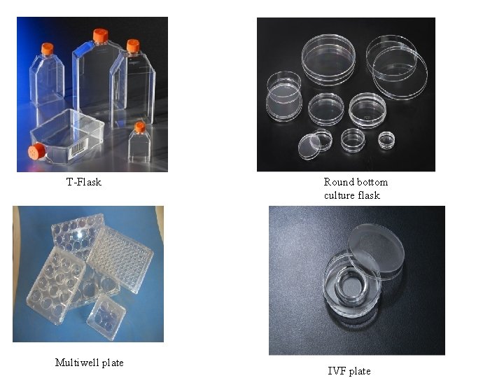 T-Flask Multiwell plate Round bottom culture flask IVF plate 