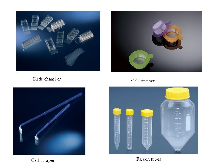 Slide chamber Cell scraper Cell strainer Falcon tubes 