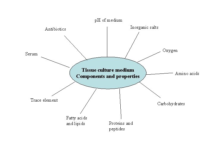 p. H of medium Inorganic salts Antibiotics Oxygen Serum Tissue culture medium Components and