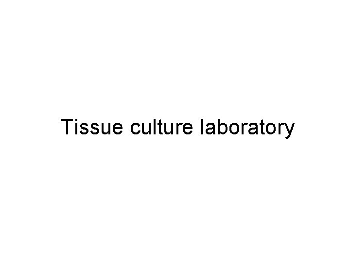 Tissue culture laboratory 