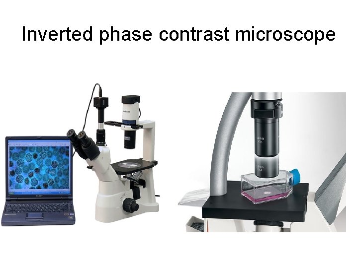 Inverted phase contrast microscope 