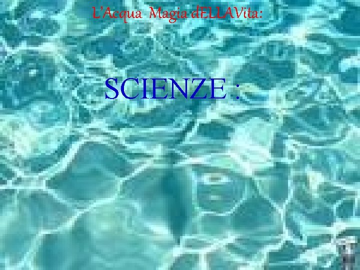 L’Acqua Magia d. ELLAVita: SCIENZE : 