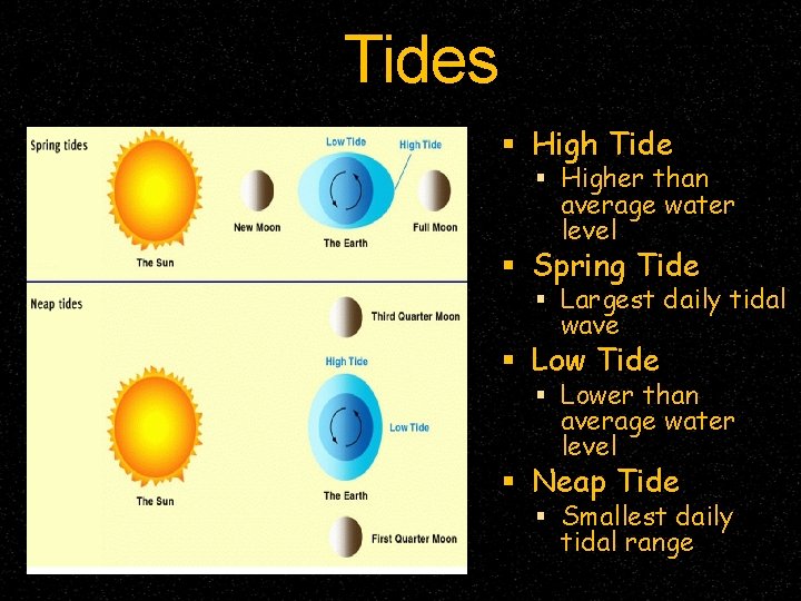 Tides High Tide Higher than average water level Spring Tide Largest daily tidal wave Tides High Tide Higher than average water level Spring Tide Largest daily tidal wave