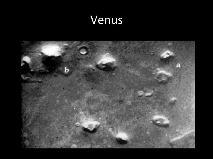 Venus 