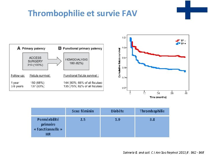 Thrombophilie et survie FAV Perméabilité primaire « fonctionnelle » HR Sexe féminin Diabète Thrombophilie