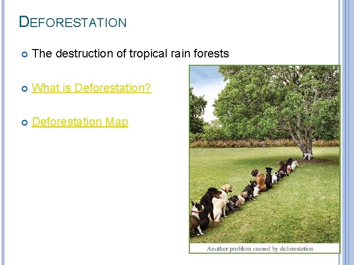 DEFORESTATION The destruction of tropical rain forests What is Deforestation? Deforestation Map 