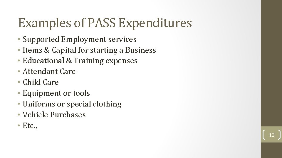 Examples of PASS Expenditures • Supported Employment services • Items & Capital for starting