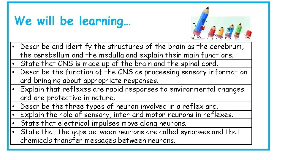 We will be learning… • Describe and identify the structures of the brain as