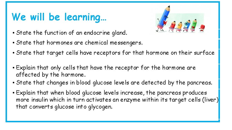 We will be learning… • State the function of an endocrine gland. • State