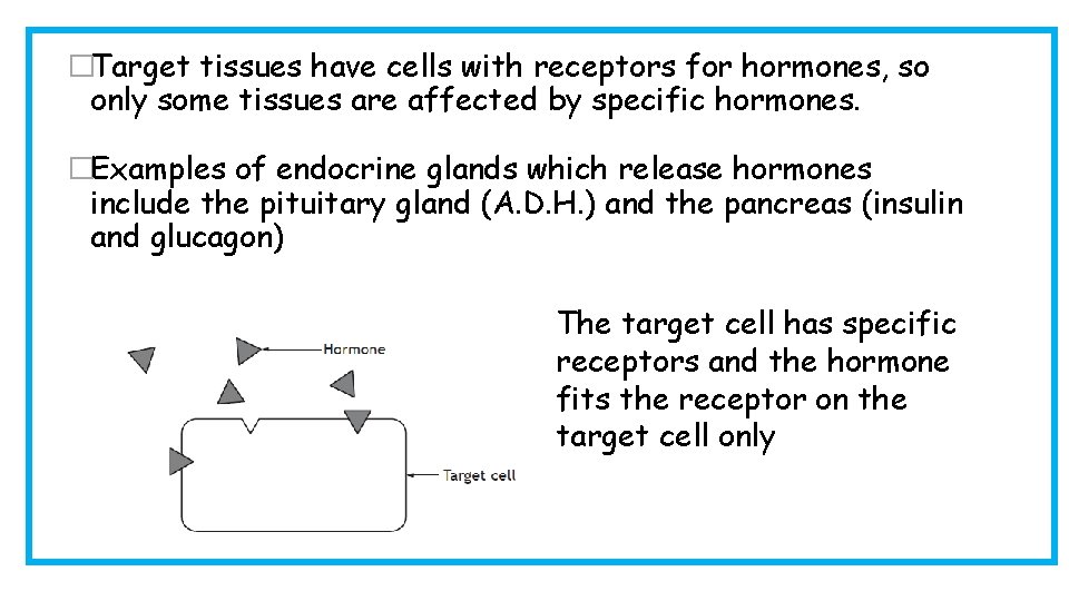 �Target tissues have cells with receptors for hormones, so only some tissues are affected