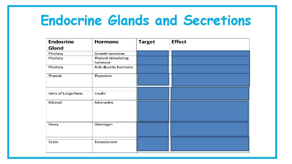 Endocrine Glands and Secretions 