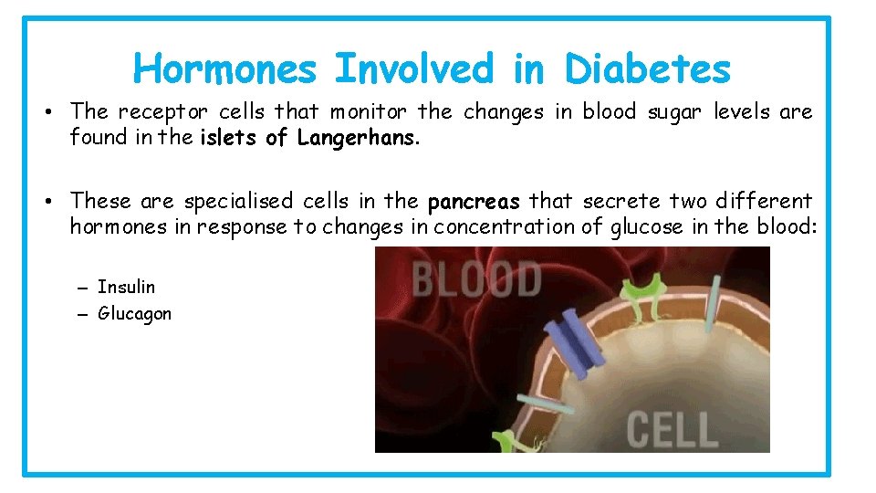 Hormones Involved in Diabetes • The receptor cells that monitor the changes in blood