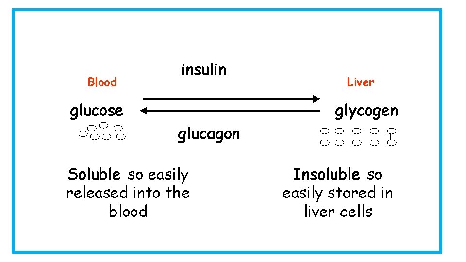 Blood insulin glucose Liver glycogen glucagon Soluble so easily released into the blood Insoluble
