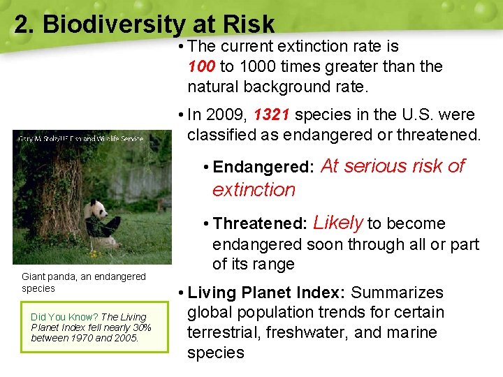 2. Biodiversity at Risk • The current extinction rate is 100 to 1000 times