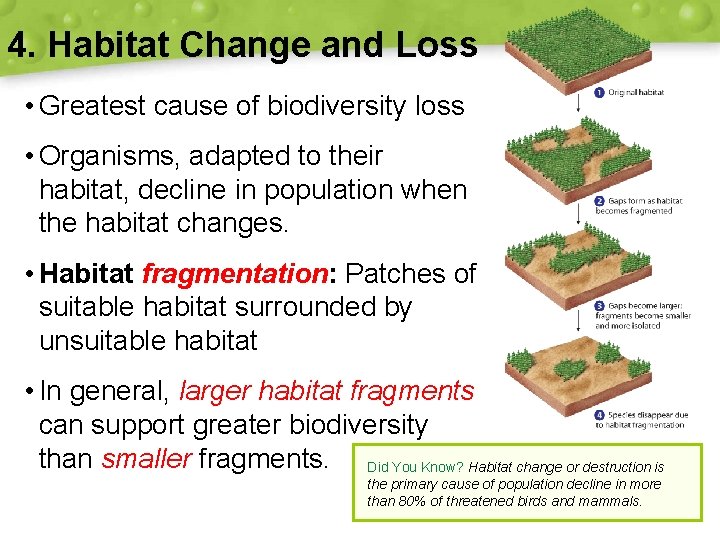 4. Habitat Change and Loss • Greatest cause of biodiversity loss • Organisms, adapted