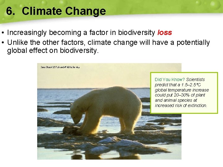 6. Climate Change • Increasingly becoming a factor in biodiversity loss • Unlike the