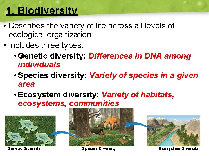 1. Biodiversity • Describes the variety of life across all levels of ecological organization