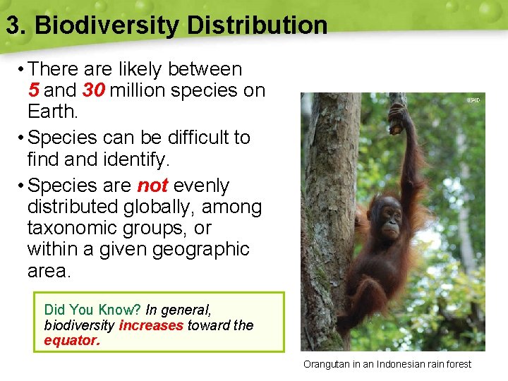 3. Biodiversity Distribution • There are likely between 5 and 30 million species on