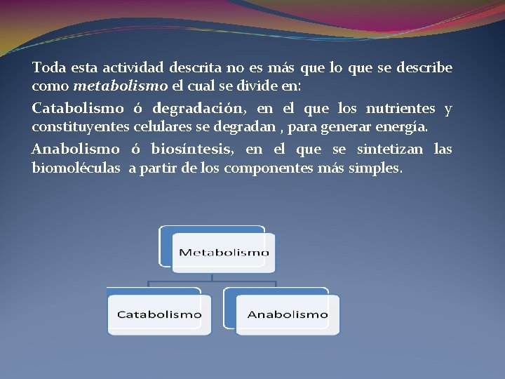 Toda esta actividad descrita no es más que lo que se describe como metabolismo