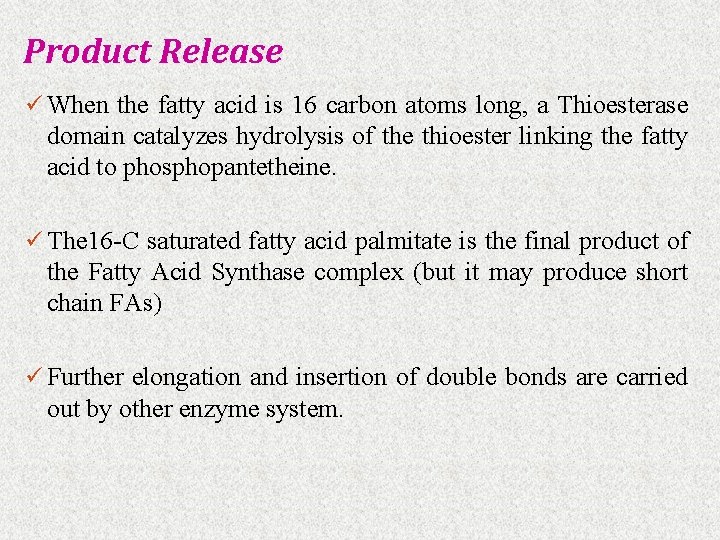 Product Release ü When the fatty acid is 16 carbon atoms long, a Thioesterase