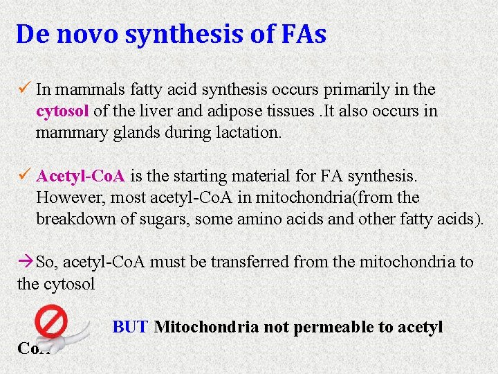 De novo synthesis of FAs ü In mammals fatty acid synthesis occurs primarily in