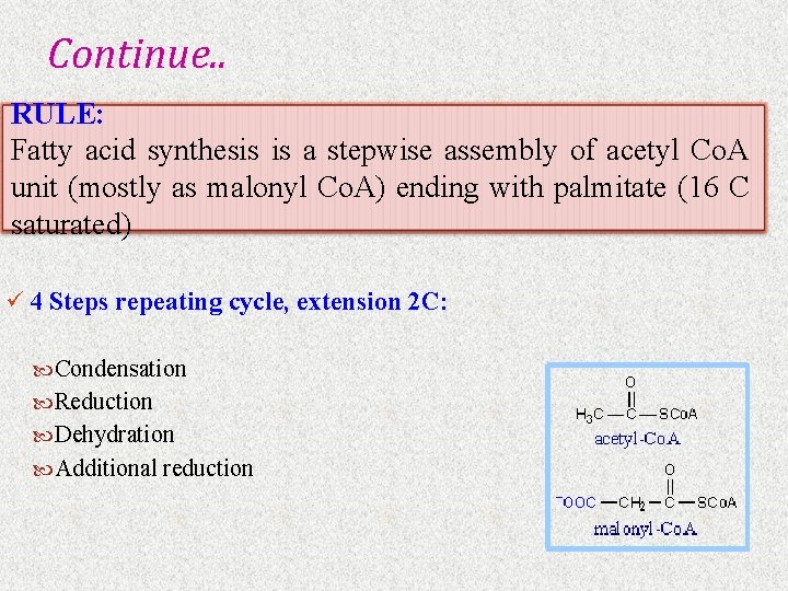 Continue. . RULE: Fatty acid synthesis is a stepwise assembly of acetyl Co. A