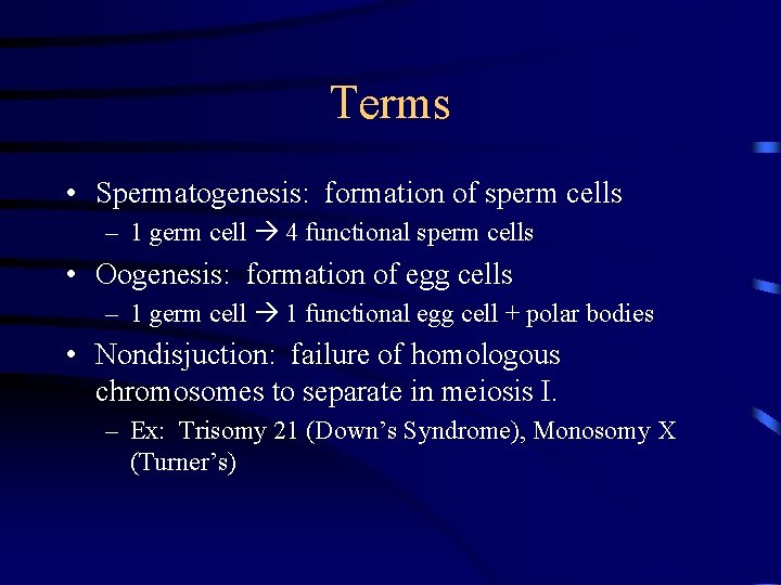 Terms • Spermatogenesis: formation of sperm cells – 1 germ cell 4 functional sperm