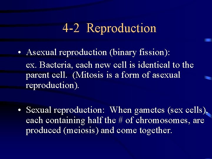 4 -2 Reproduction • Asexual reproduction (binary fission): ex. Bacteria, each new cell is