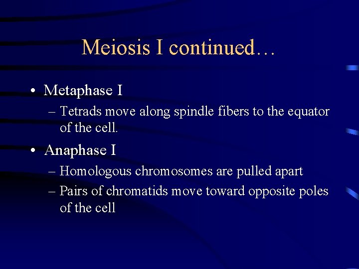 Meiosis I continued… • Metaphase I – Tetrads move along spindle fibers to the