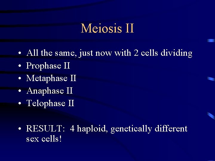 Meiosis II • • • All the same, just now with 2 cells dividing