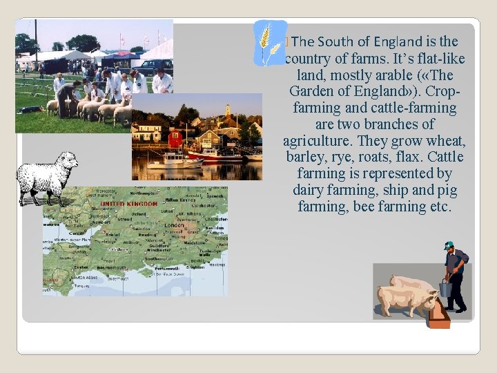 � The South of England is the country of farms. It’s flat-like land, mostly